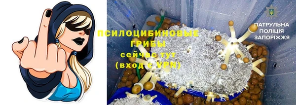 амфетамин Богданович