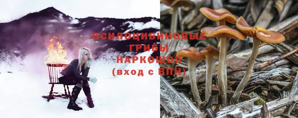 спиды Бугульма